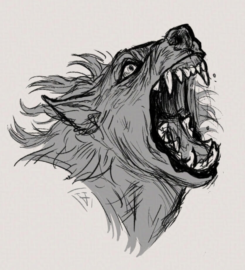 Sketch $15