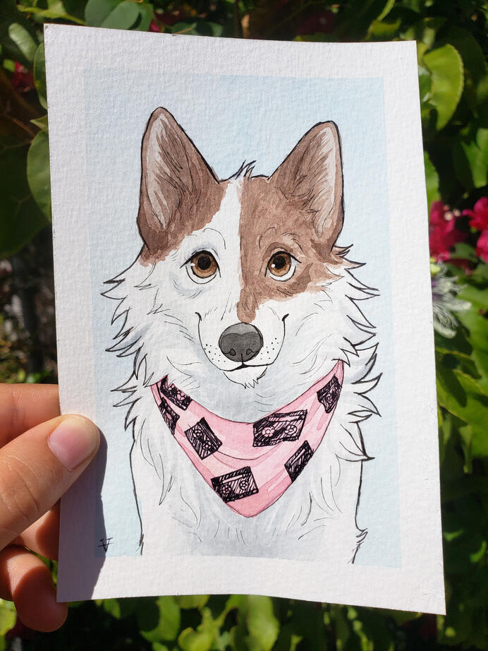 4" x 6"= $20