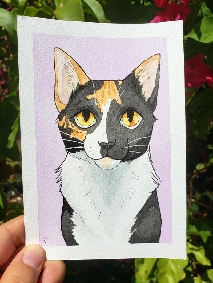 4" x 6"= $20