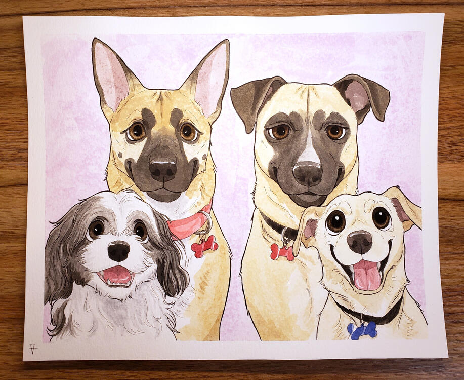 10" x 12" (100+225%= $325)