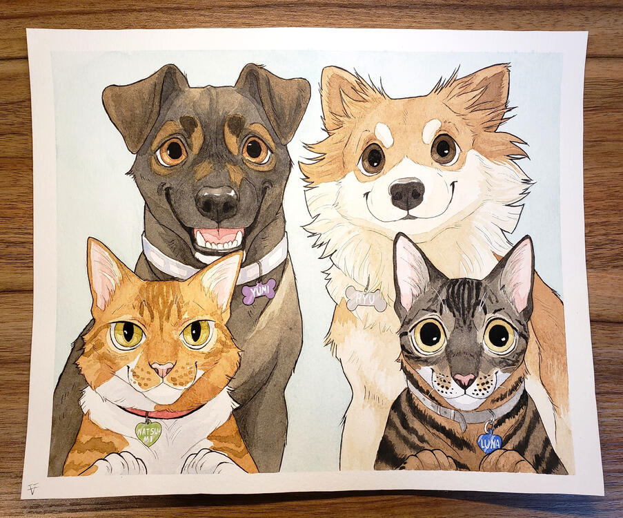 10" x 12" (100+225%= $325)