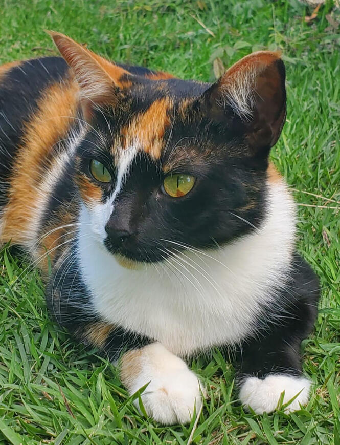 Luna